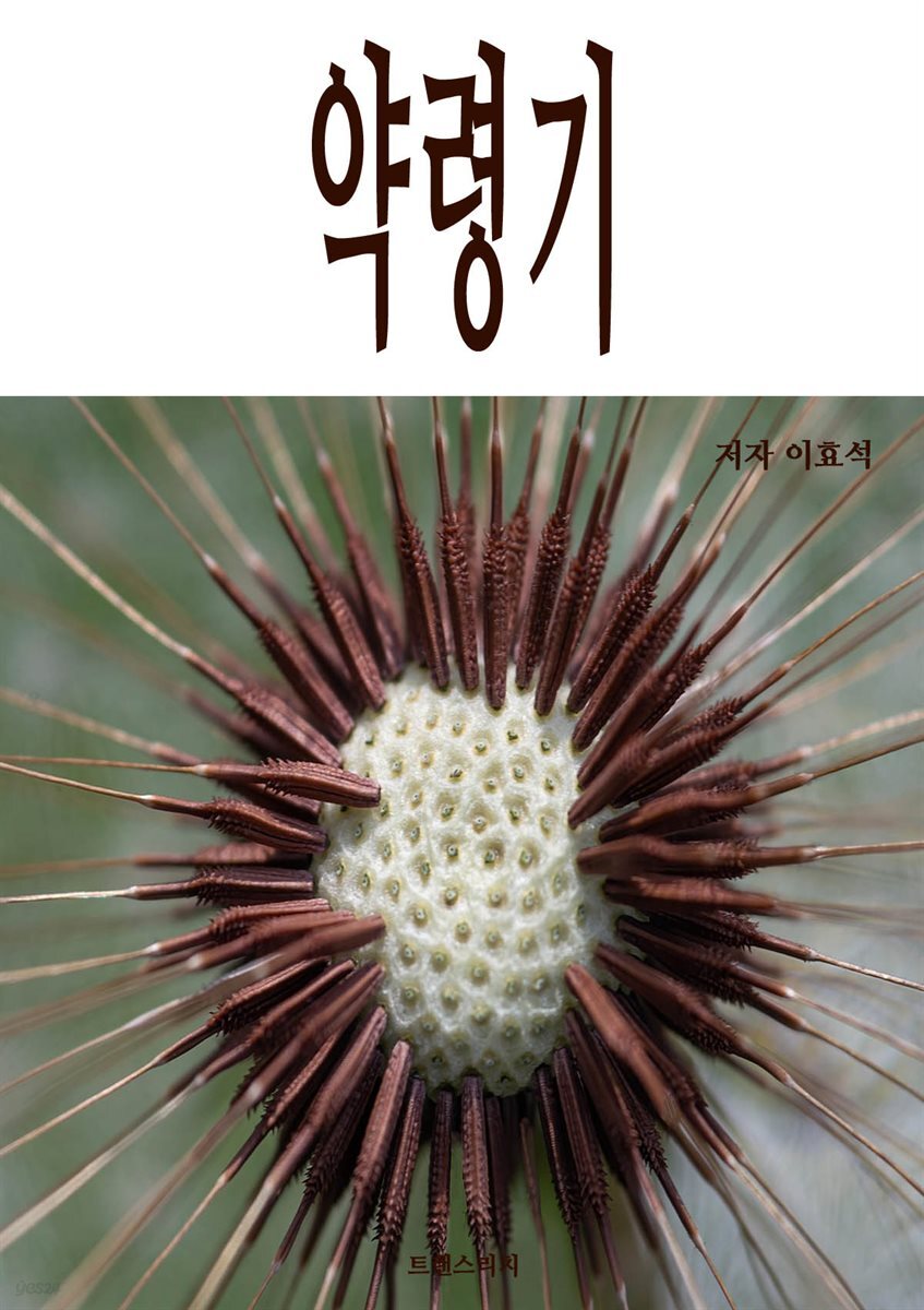 약령기