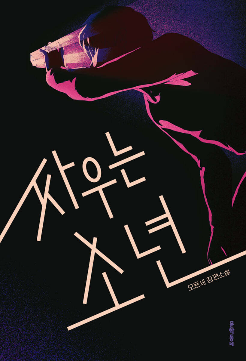 싸우는 소년