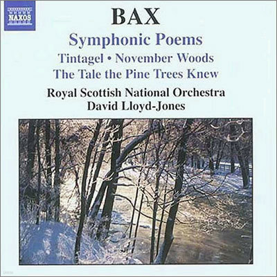 David Lloyd-Jones 아놀드 백스: 교향시 작품집 (Arnold Bax : Symphonic Poems) 