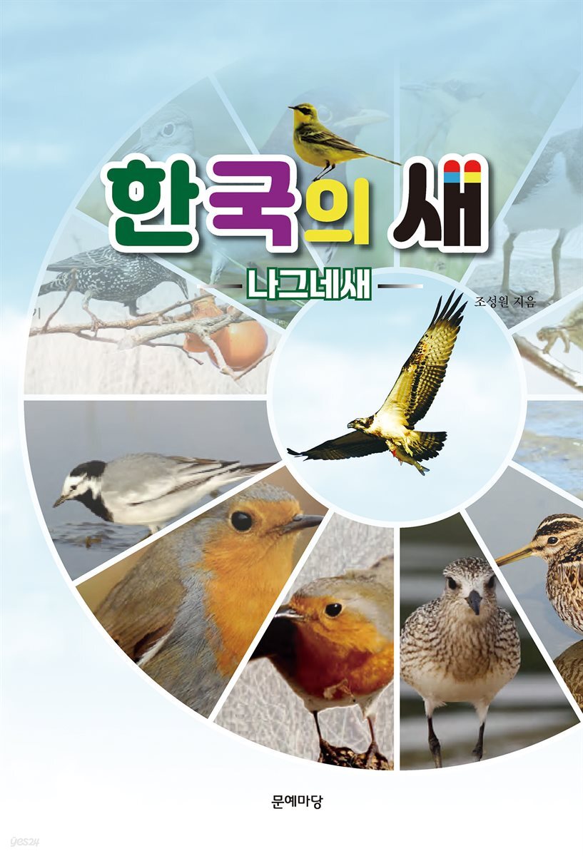 한국의 새-나그네새