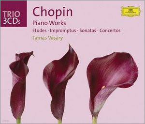 Tamas Vasary 쇼팽: 피아노 작품집 - 소나타, 협주곡, 연습곡 (Chopin: Etude, Impromptus, Sonata, Concerto)