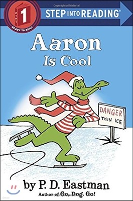 Aaron Is Cool