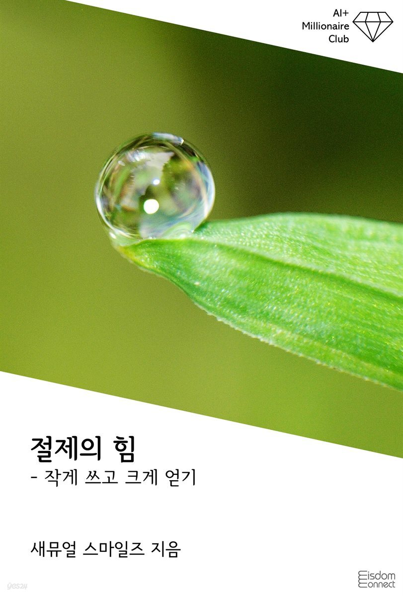 절제의 힘 : 작게 쓰고 크게 얻기