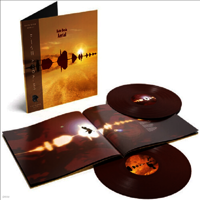 Kate Bush — Aerial (Remastered)(Gatefold) 앨범 커버