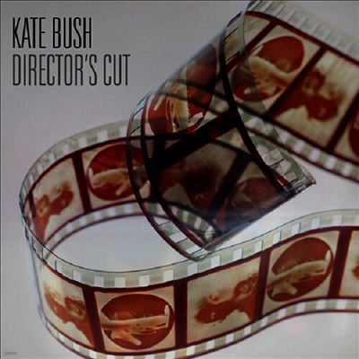 Kate Bush — Director's Cut (Remastered)(Gatefold) 앨범 커버