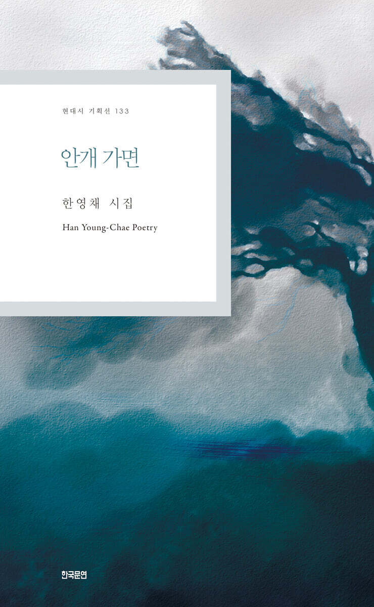 안개 가면