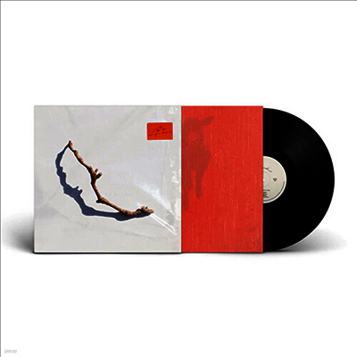 PJ Harvey — I Inside The Old Year Dying 앨범 커버