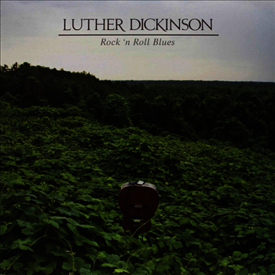 Luther Dickinson — Rock'N Roll Blues (Free MP3 Download) 앨범 커버