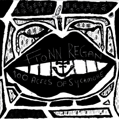 Fionn Regan — 100 Acres Of Sycamore 앨범 커버