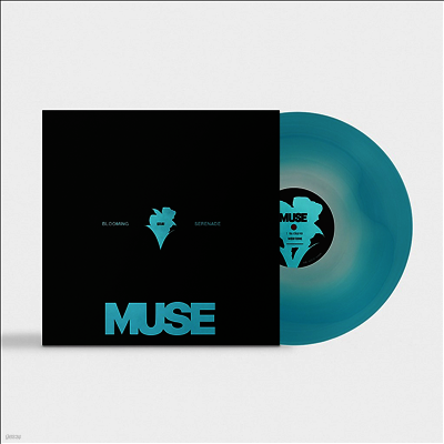 지민,Jimin — Muse 앨범 커버