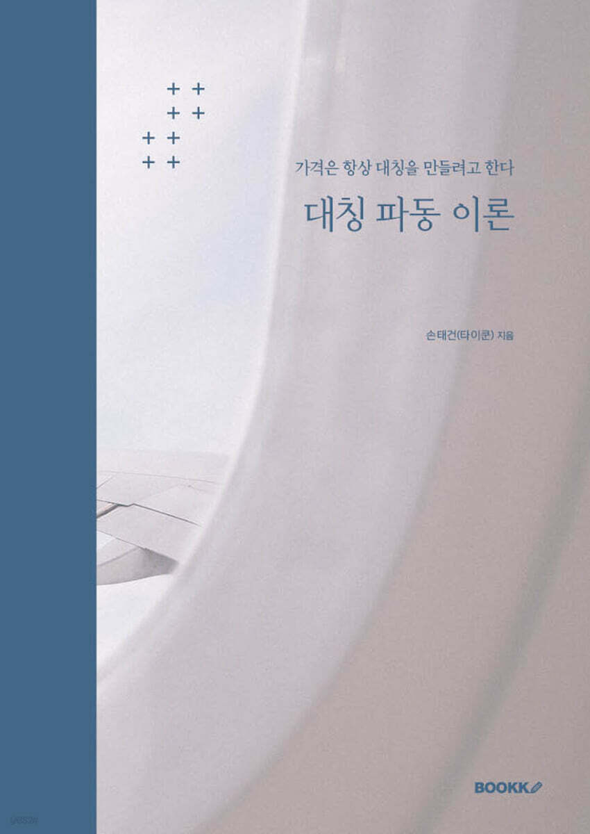 대칭 파동 이론