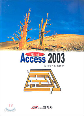 Access 2003