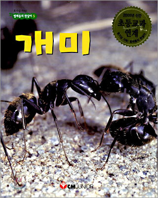 개미