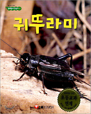 귀뚜라미