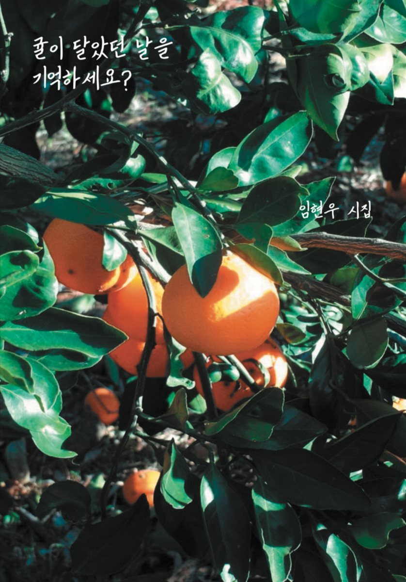 귤이 달았던 날을 기억하세요?