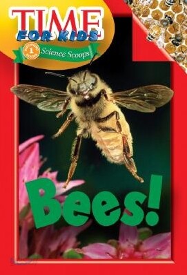 Bees!