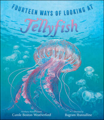 Fourteen Ways of Looking at Jellyfish