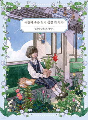 책 정보