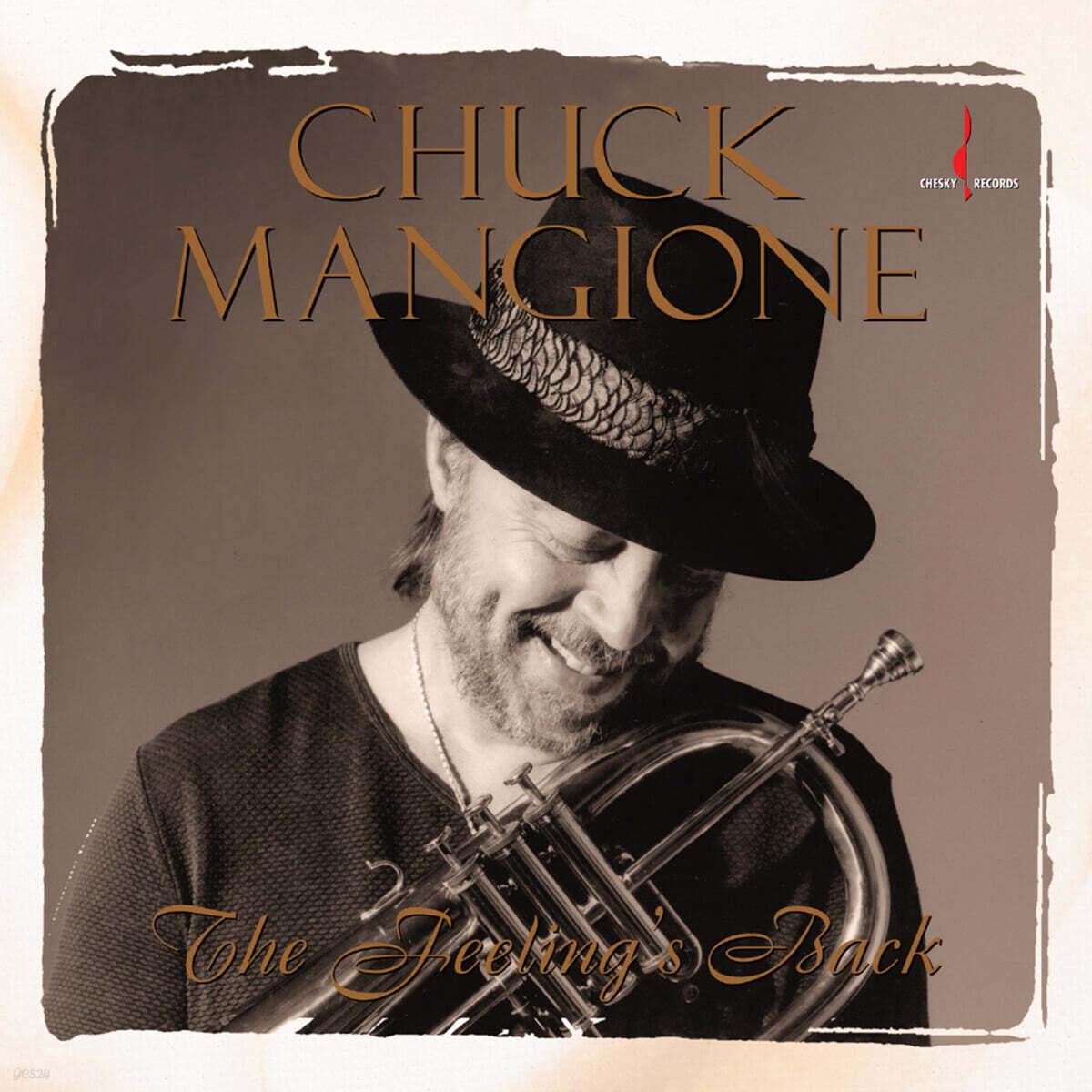 Chuck Mangione (척 맨지오니) - The Feeling's Back [LP]