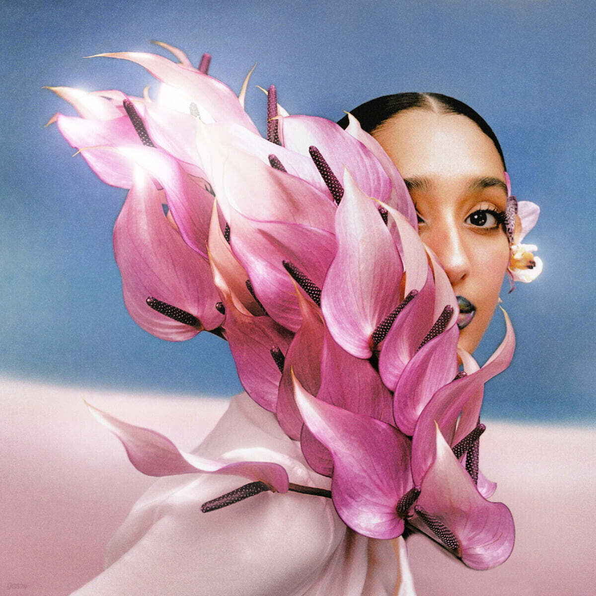 Raveena (라비나) - 3집 Where the Butterflies Go in the Rain [클리어 컬러 2LP]