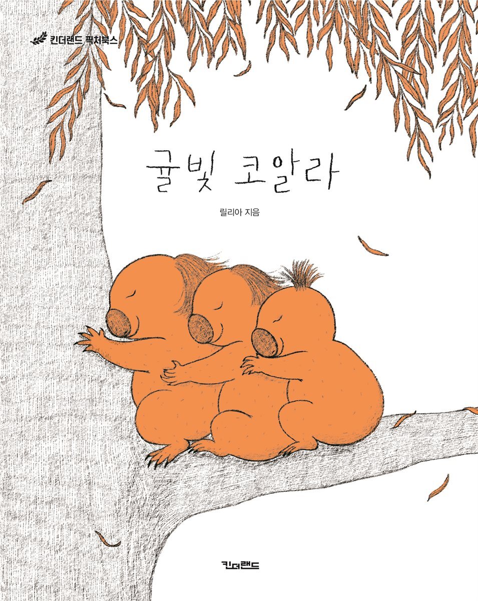 귤빛 코알라