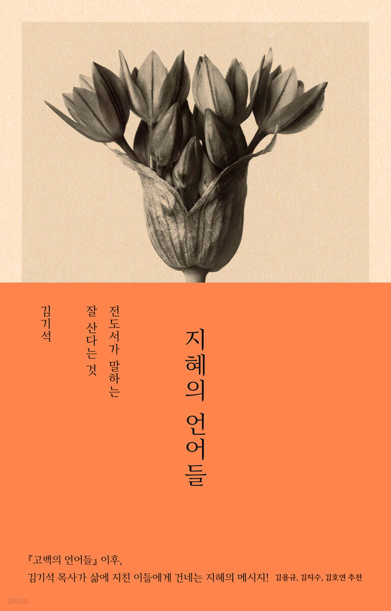 지혜의 언어들