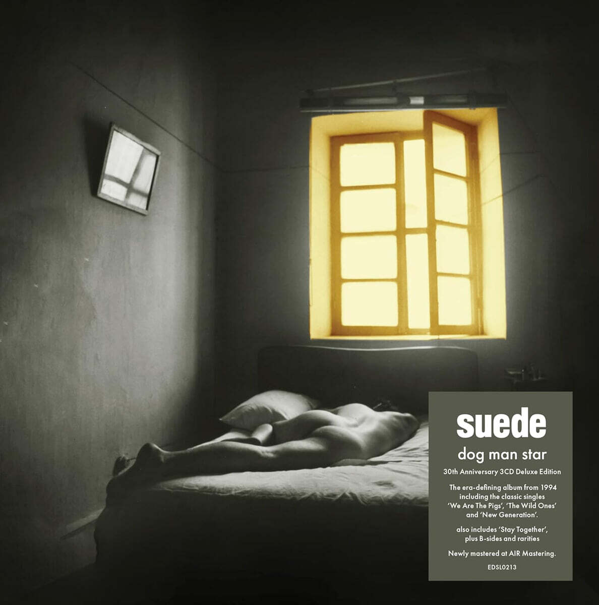 Suede (스웨이드) - Dog Man Star