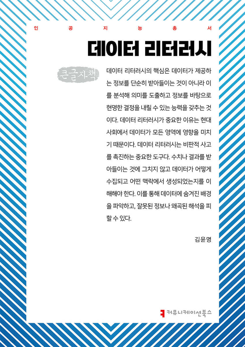 데이터 리터러시 (큰글자책)