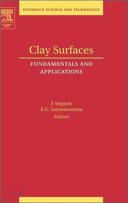 Clay Surfaces: Fundamentals and Applicationsvolume 1