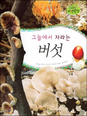 꿈틀꿈틀 자연관찰 65 그늘에서 자라는 버섯 (자연환경 - 균류) (양장)