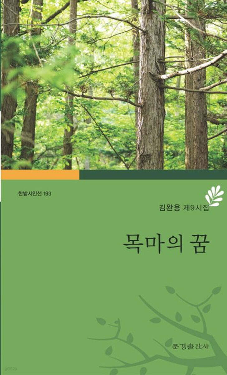 목마의 꿈