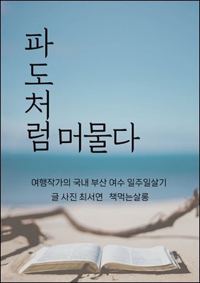 책 정보
