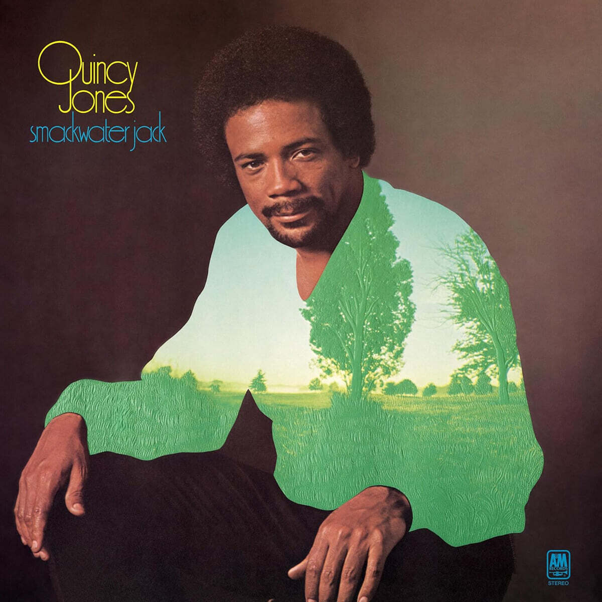 Quincy Jones (퀸시 존스) - Smackwater Jack [LP]