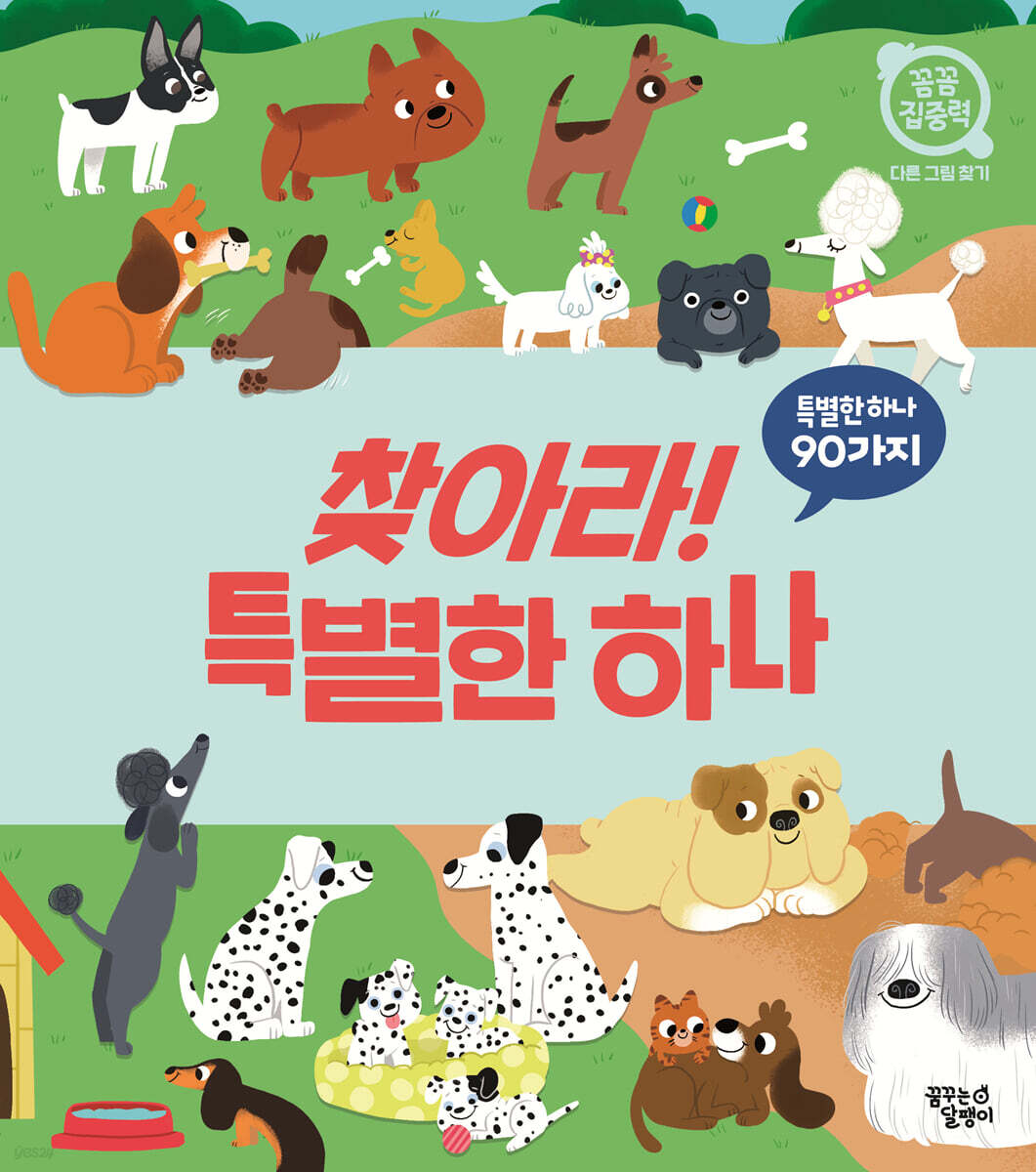 찾아라! 특별한 하나