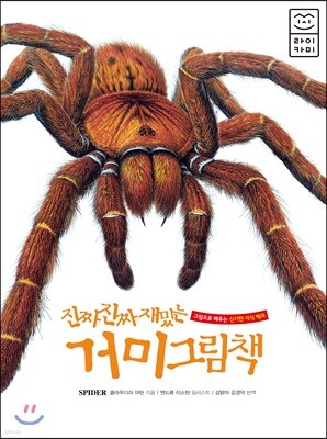 책 정보