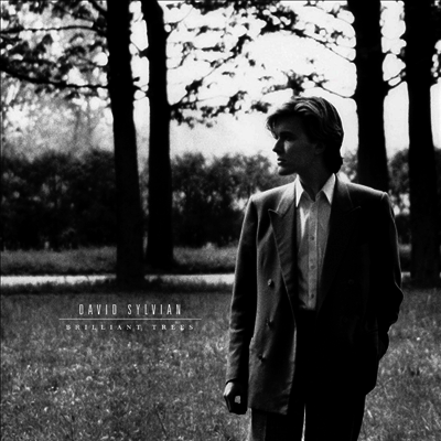 David Sylvian — Brilliant Trees 앨범 커버