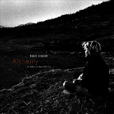 David Sylvian — Alchemy: An Index Of Possibilities 앨범 커버