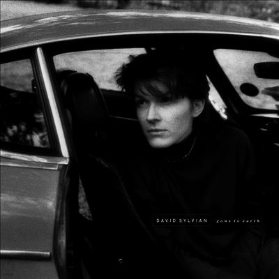 David Sylvian — Gone To Earth 앨범 커버