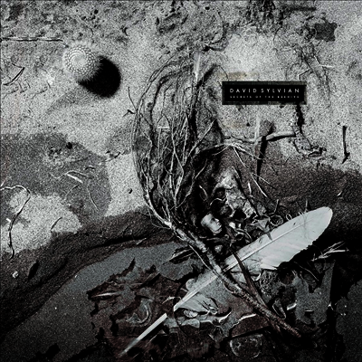 David Sylvian — Secrets Of The Beehive 앨범 커버