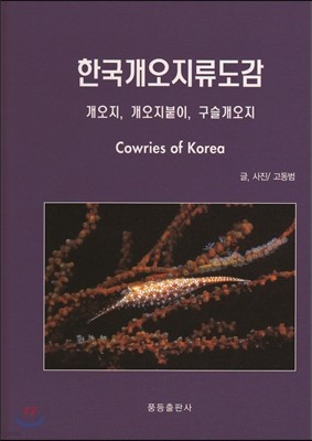 한국개오지류도감