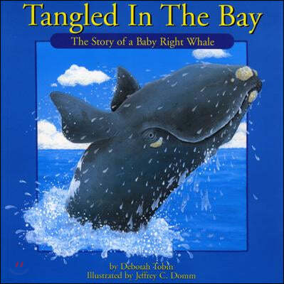 Tangled in the Bay