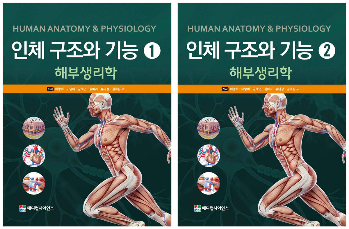 인체구조와 기능 해부생리학 세트