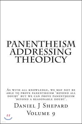 Panentheism Addressing Theodicy