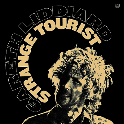 Gareth Liddiard — Strange Tourist 앨범 커버