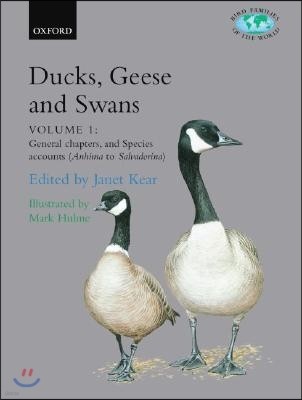 Ducks, Geese, and Swans