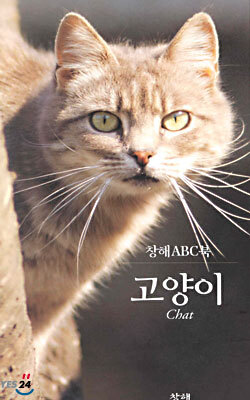 고양이