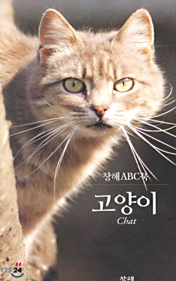 고양이