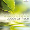 Jeroen van Veen 이루마: 피아노 작품집 (Yiruma: Piano Music `River Flows in You`)