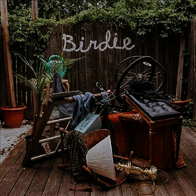 Slaughter Beach Dog — Birdie 앨범 커버