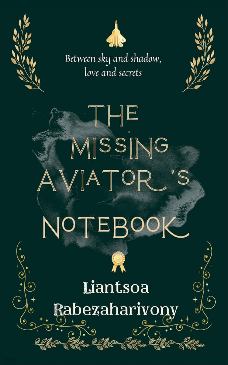 THE MISSING AVIATOR'S NOTEBOOK